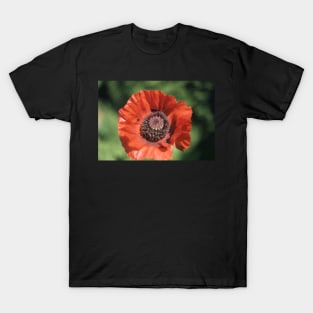 Poppy T-Shirt